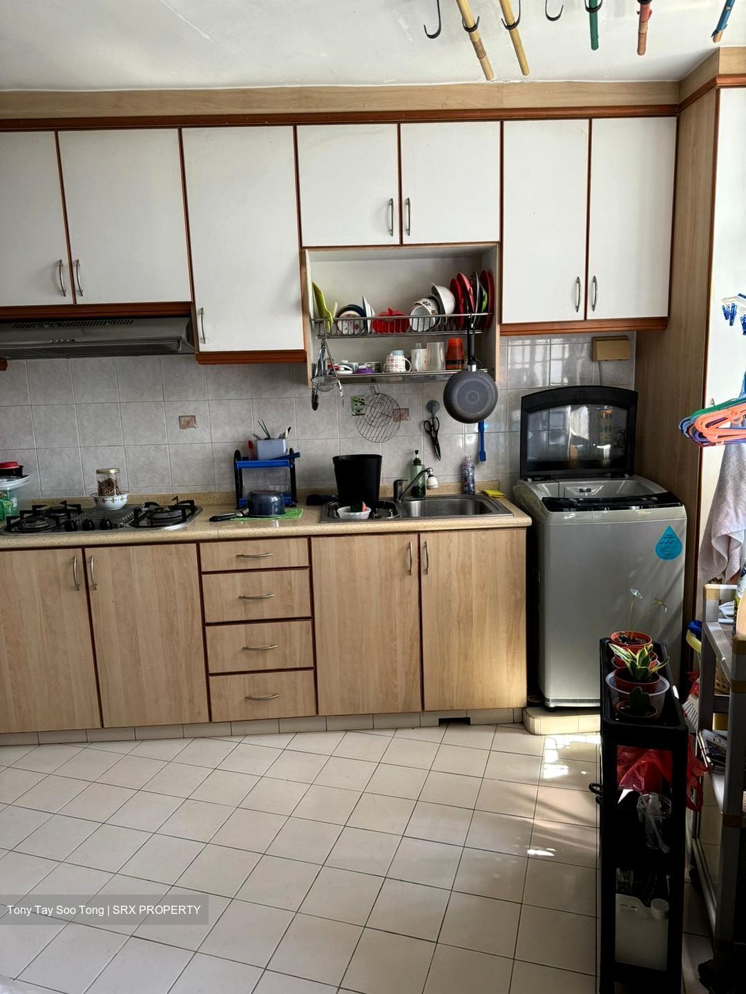 Segar Road thumbnail photo